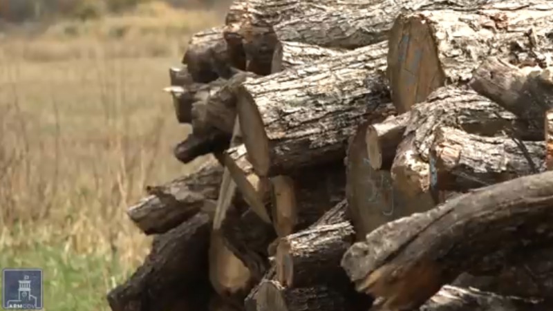 Պետությունը ևս 70 բնակավայրի արտոնություն է տվել անտառից անվճար վառելանյութ տանել (տեսանյութ)