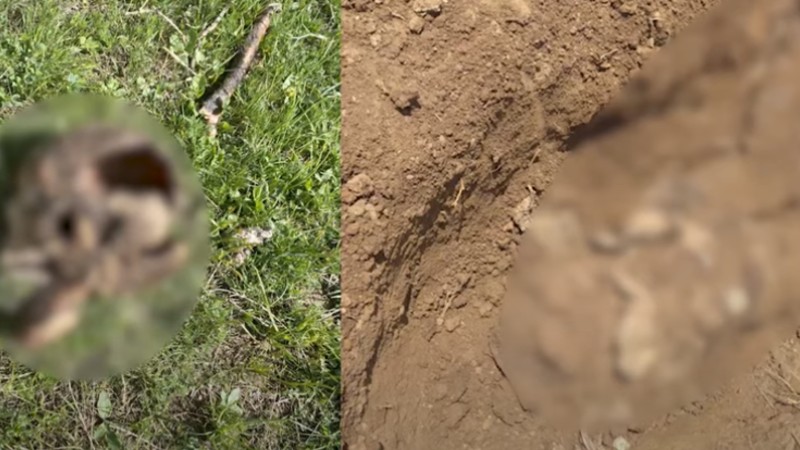 Սպանվածի մարմինն ու գլուխը հայտնաբերվեցին Հատիս գյուղի դաշտում (տեսանյութ)
