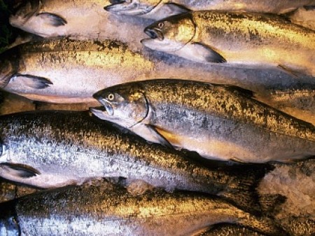 Սոչիում այրել են Հայաստանից ներկրված 280 կգ ձուկ