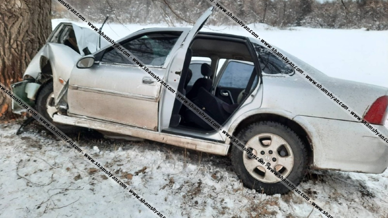 Գեղարքունիքի մարզում 59-ամյա վարորդը Opel-ով բախվել է ծառին. ուղևորը տեղում մահացել է