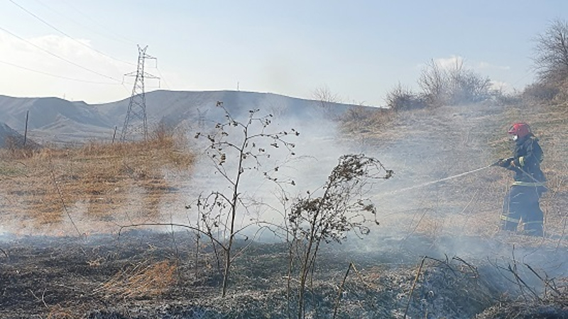 Երեկ «Խոսրովի անտառ»-ում բռնկված հրդեհը մեկուսացվել է առավոտյան. այրվել են ծառեր ու թփեր