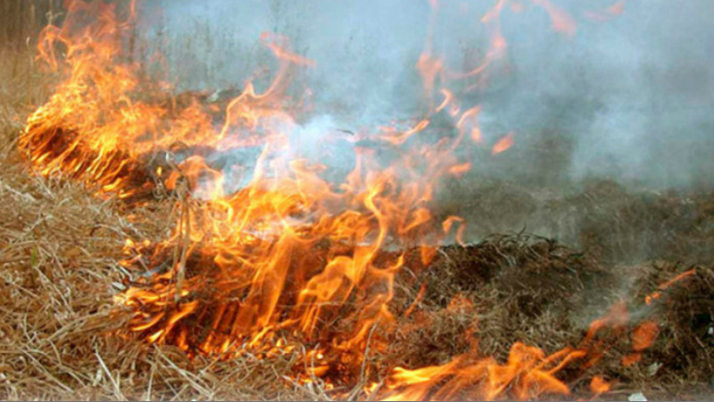  Մարալիկում մոտ 40 հա խոտածածկույթ է այրվել