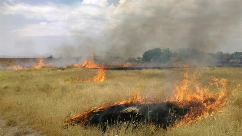 Մովսես-Այգեպար ճանապարհին մոտ 10 հա խոտածածկույթ է այրվել 