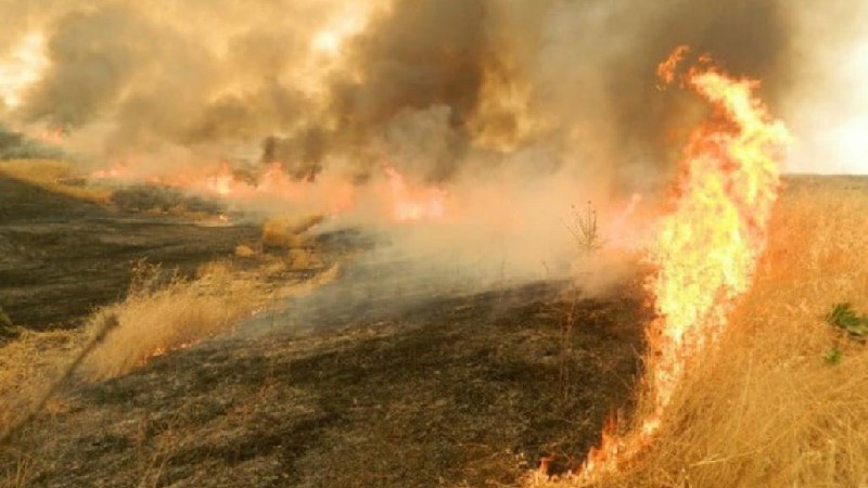 Խոտատարածքից կրակը տարածվել և այրել է Գիշի համայնքի բնակչի գարու արտը