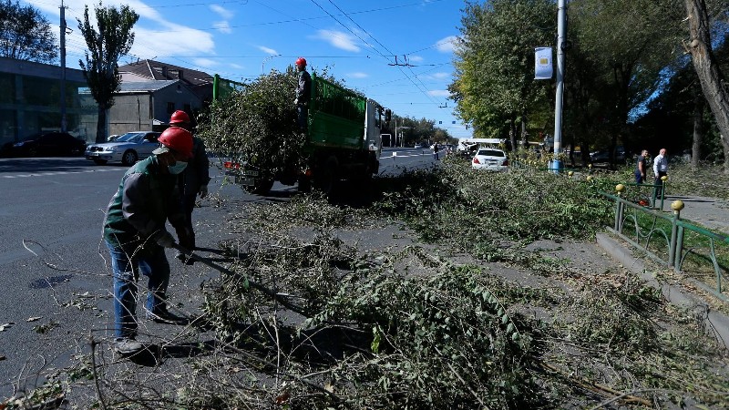 Երևանում մեկնարկել է ծառերի աշնանային էտը. քաղաքապետարան