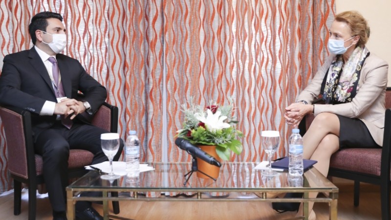 Ալեն Սիմոնյանը հանդիպել է ԵԽ գլխավոր քարտուղար Մարիա Պեյչինովիչ-Բուրիչի հետ (տեսանյութ)