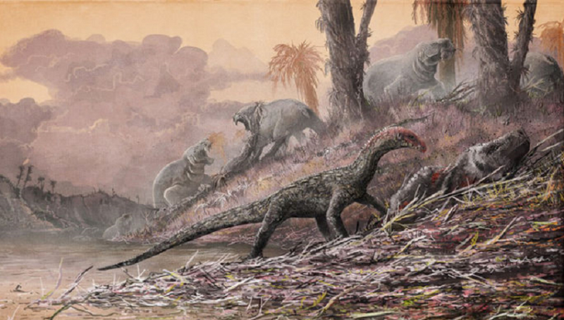 Թաիլանդացի հնէաբանները հայտնաբերել են դինոզավրի նոր տեսակ