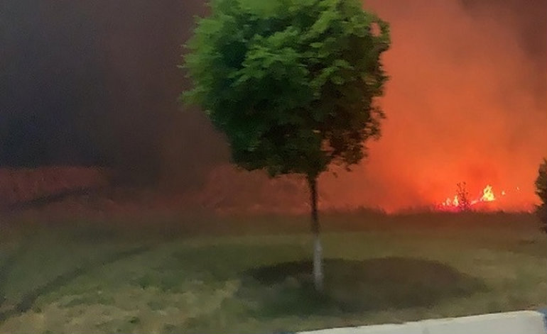 Հերթական հրդեհը. այս պահին Իսակովի պողոտայում այրվում է խոտածածկ տարածք (տեսանյութ)