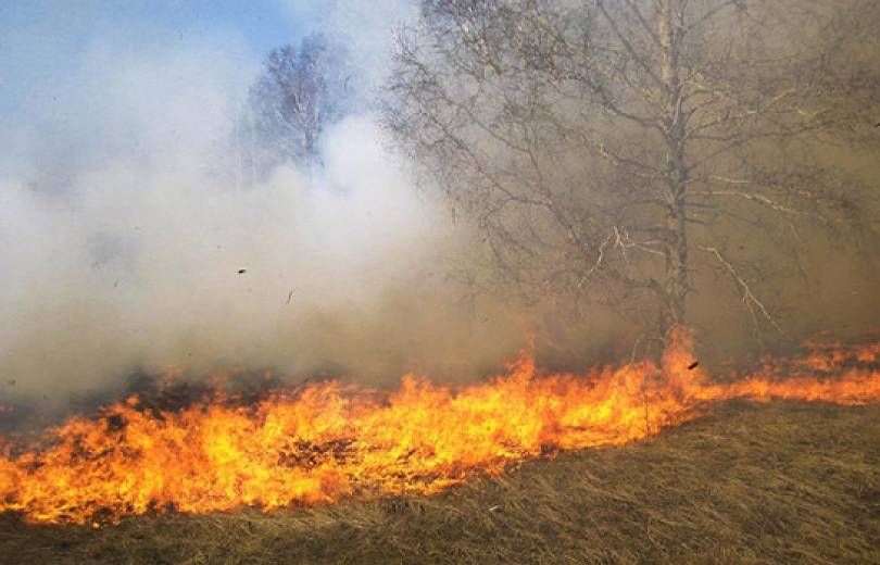 Տավուշի մարզի Չինչին գյուղում խոտածածկ տարածք է այրվել