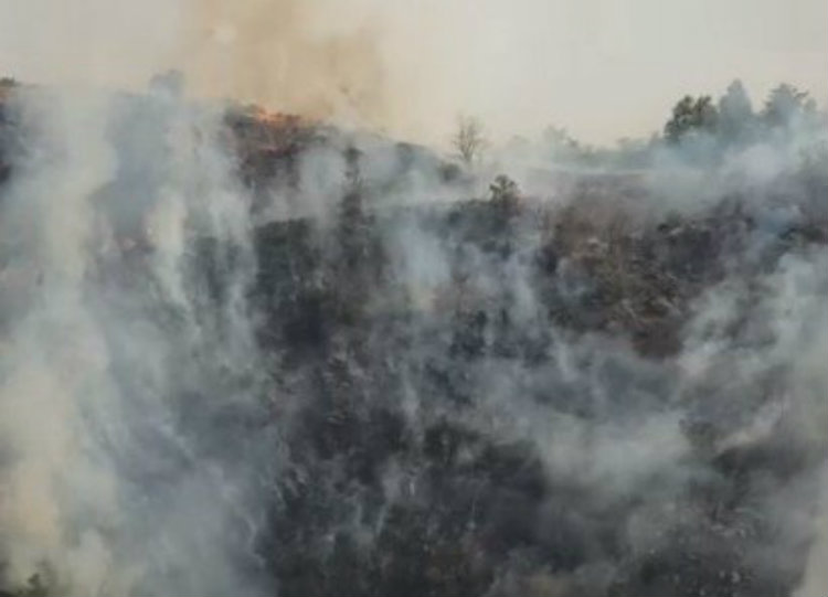 Հրազդանի կիրճում այրվում է խոտածածկ տարածք. ԱԻՆ (տեսանյութ)