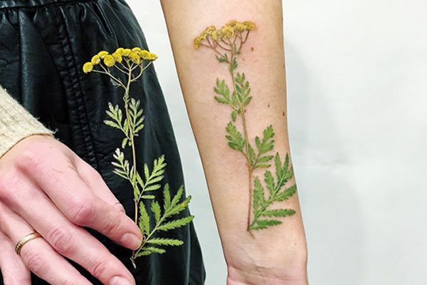 Rita-Rit-Kit-Zolotukhina-botanical-tattoo-6.jpg