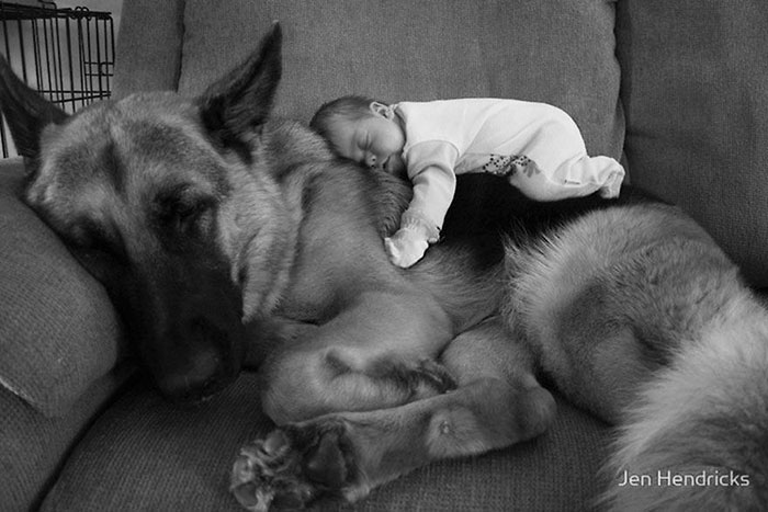 kids-dogs-sleeping-together-napping-buddies-123-58d9138b0b9fb__700.jpg