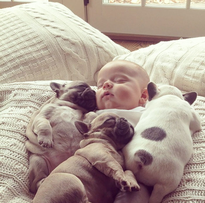 kids-dogs-sleeping-together-napping-buddies-125-58d919b0df623__700.jpg