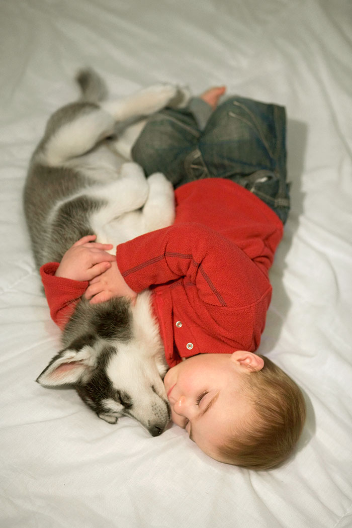 kids-dogs-sleeping-together-napping-buddies-58d8f97283e5f__700.jpg