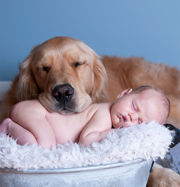 kids-dogs-sleeping-together-napping-buddies-58d8fe3407c5a__700.jpg