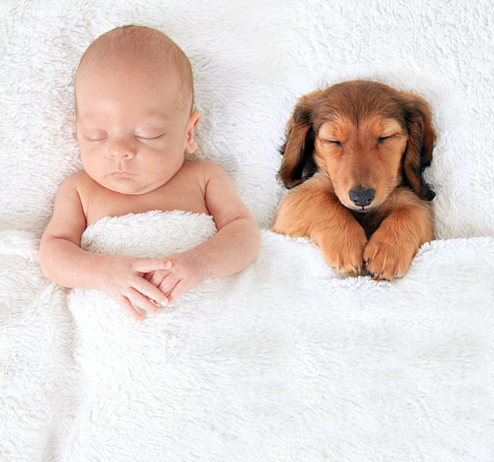 kids-dogs-sleeping-together-napping-buddies-58d904565f9be__700.jpg