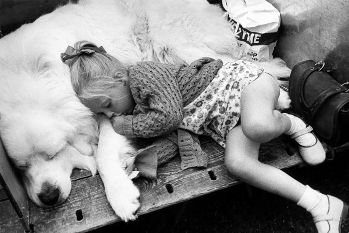 kids-dogs-sleeping-together-napping-buddies-58d90825c2d6c__700.jpg