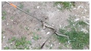 Ասկերանի բնակելի տներից մեկի բակում օձ է հայտնվել